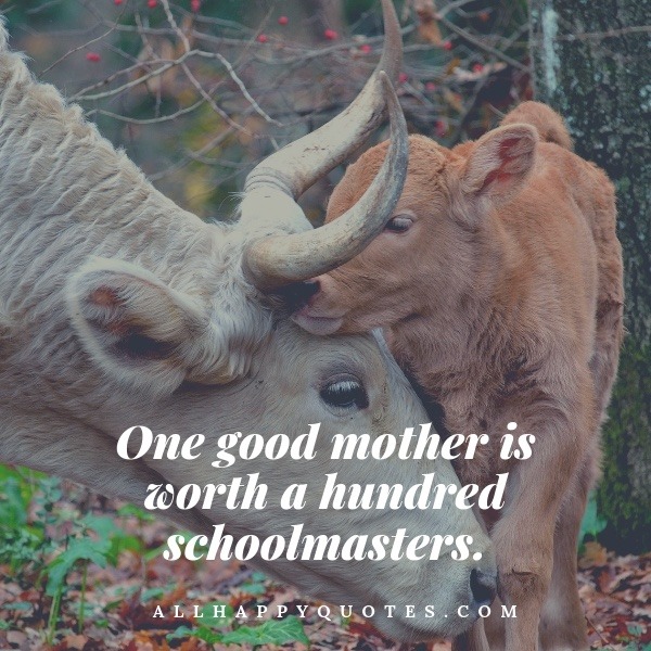 Remembering Mom Quotes