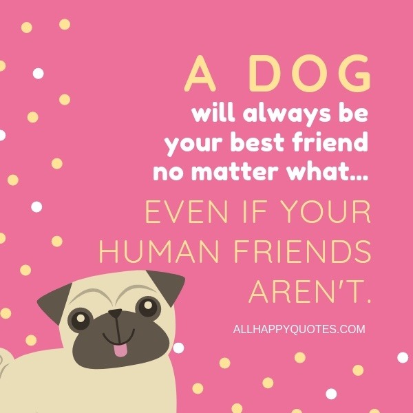 Dog Best Friend Quotes