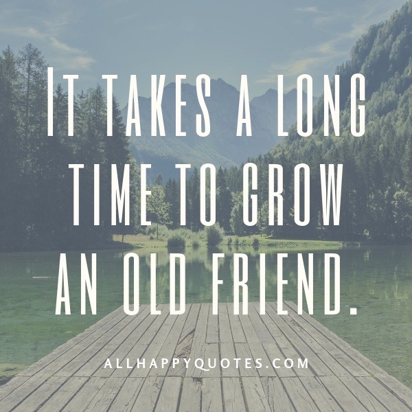 Old Best Friend Quotes
