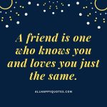 51 Friendship Love Quotes for Her and Him with Images