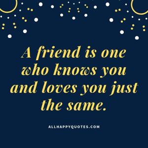 51 Friendship Love Quotes for Her and Him with Images