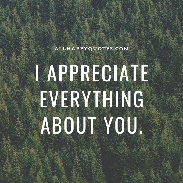 i appreciate everything about you