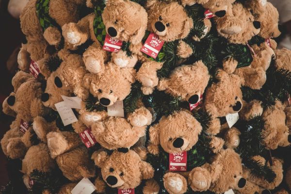 Lots Of Teddy Bears