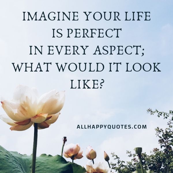imagine your life is perfect