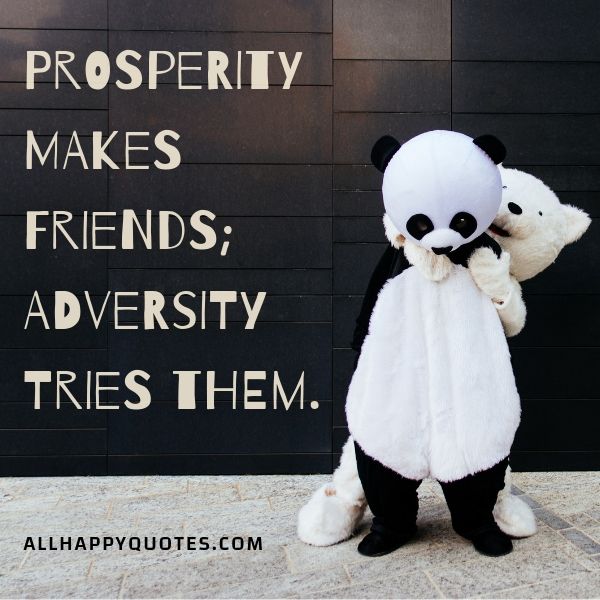 prosperity makes friends
