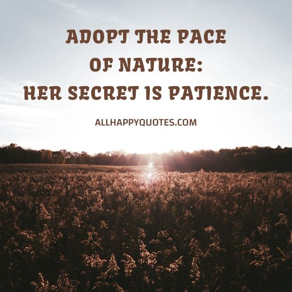 her secret is patience