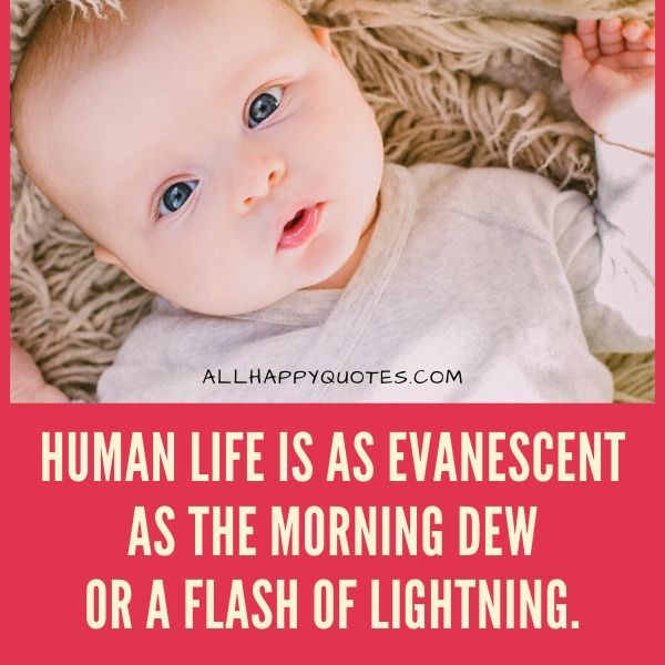human life is an evanescent