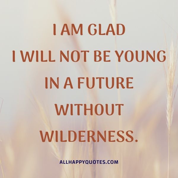 i am glad i will not be young