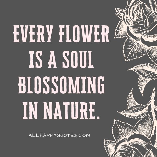 is a soul blossoming