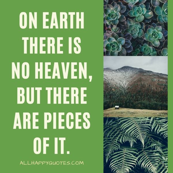 nature quotes for instagram