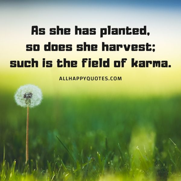 as she has planted