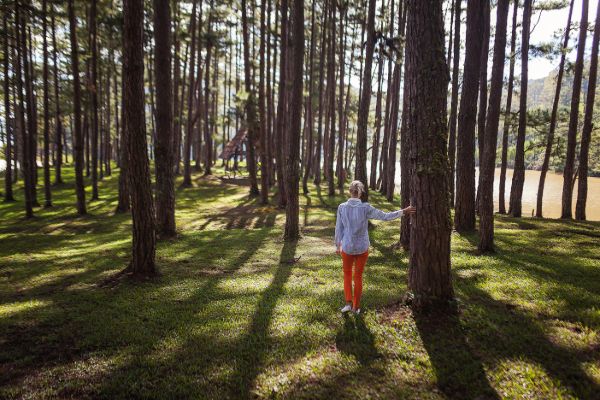 walk in forest